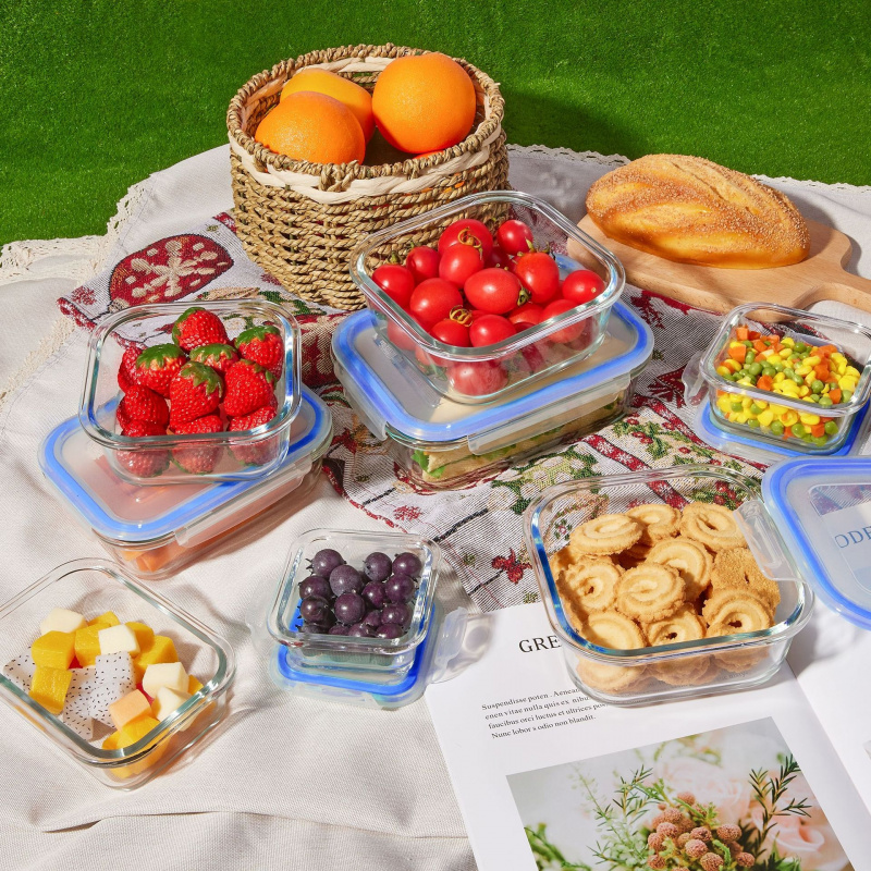 8 قطع من صناديق تخزين الطعام ا - مراجعة Meal Prep Glass Containers Oven Safe وسعره